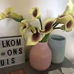 Huize Damme Bed & Breakfast