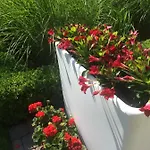 Huize Damme Bed & Breakfast