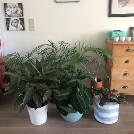 Huize Damme Couette-café 4*