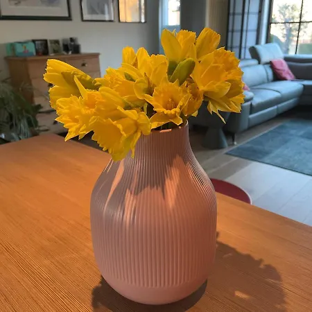 Huize Damme 4* Nieuport