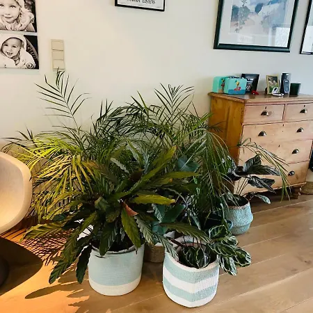 Couette-café Huize Damme Nieuport