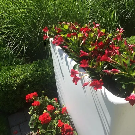 Huize Damme Couette-café