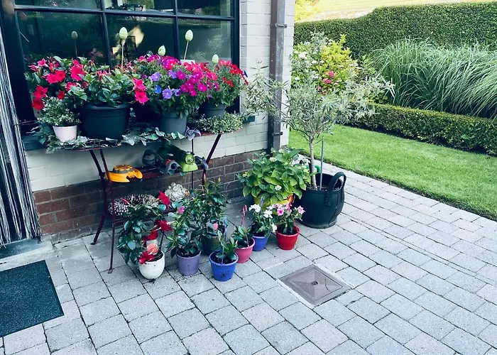 Panzió Huize Damme 4*