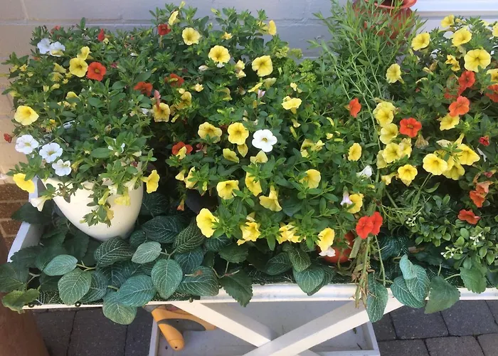 Huize Damme 4* Nieuwpoort